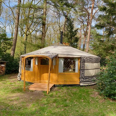 Ons Yurt Huisje In Het Bos Hollandsche Rading Εξωτερικό φωτογραφία