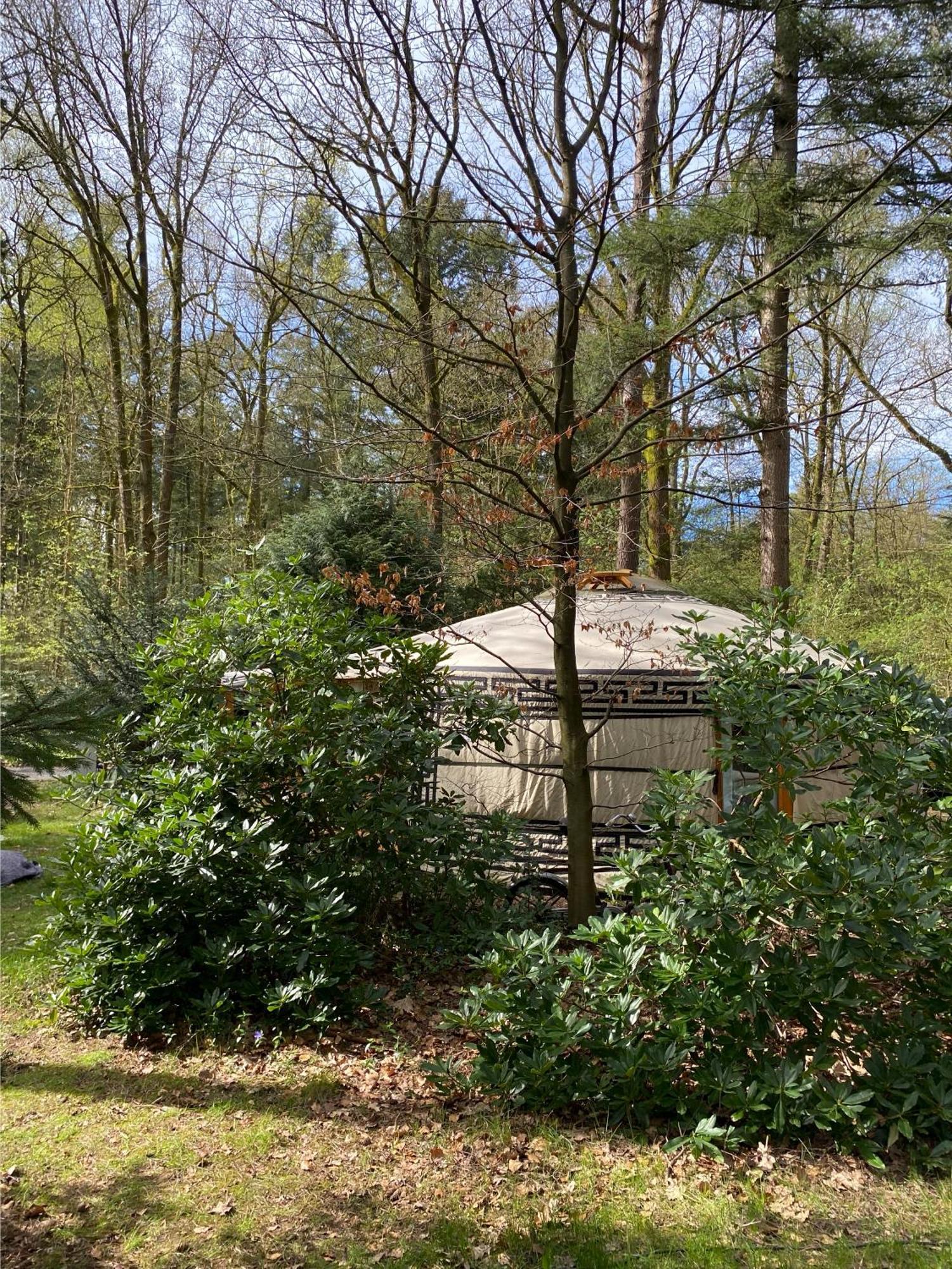 Ons Yurt Huisje In Het Bos Hollandsche Rading Εξωτερικό φωτογραφία
